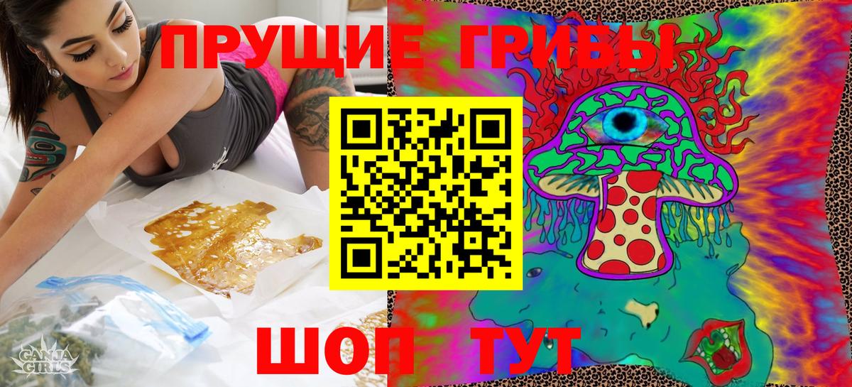 Псилоцибиновые грибы Psilocybe Североморск
